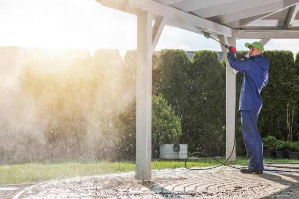 Best Patio and Deck Pressure Washing  in Linthicum, MD